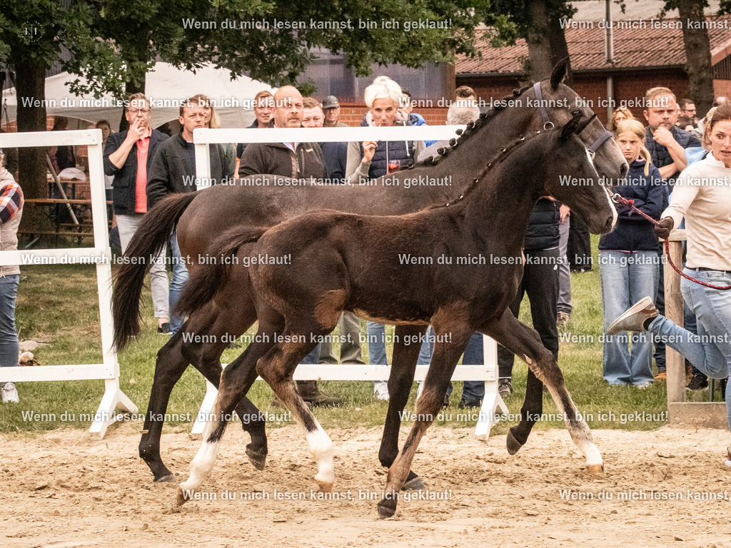 A10I1653 | photographylinaismer - Realisiert mit Pictrs.com