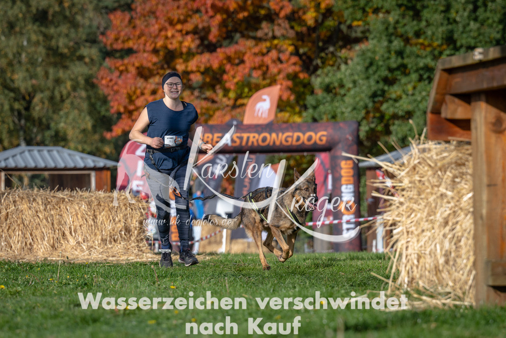 1013_ZZ92633 | kk-dogfotos