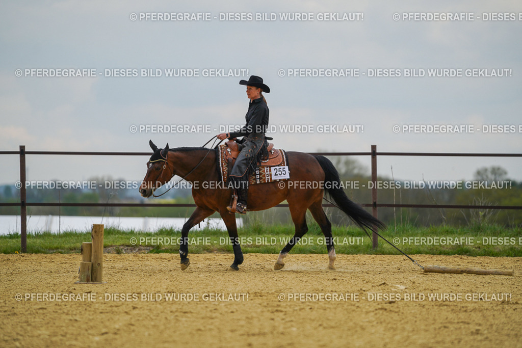 DSC07680 | Pferdegrafie