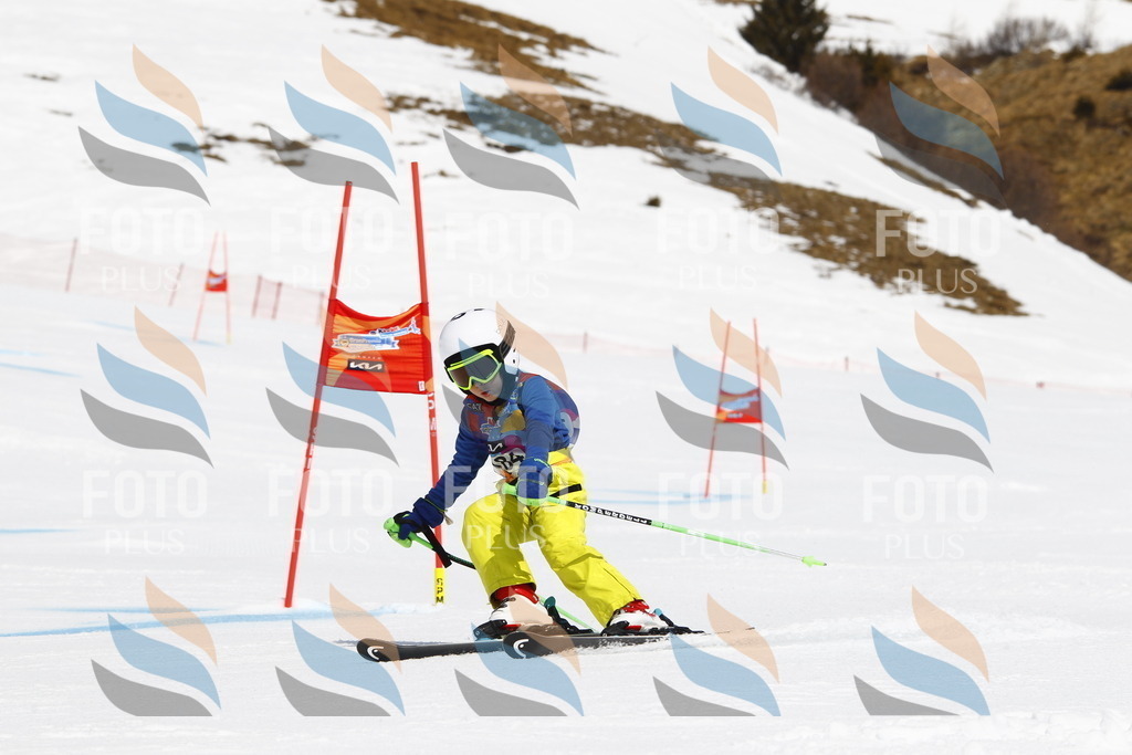 _U3G4841 | holidayphoto