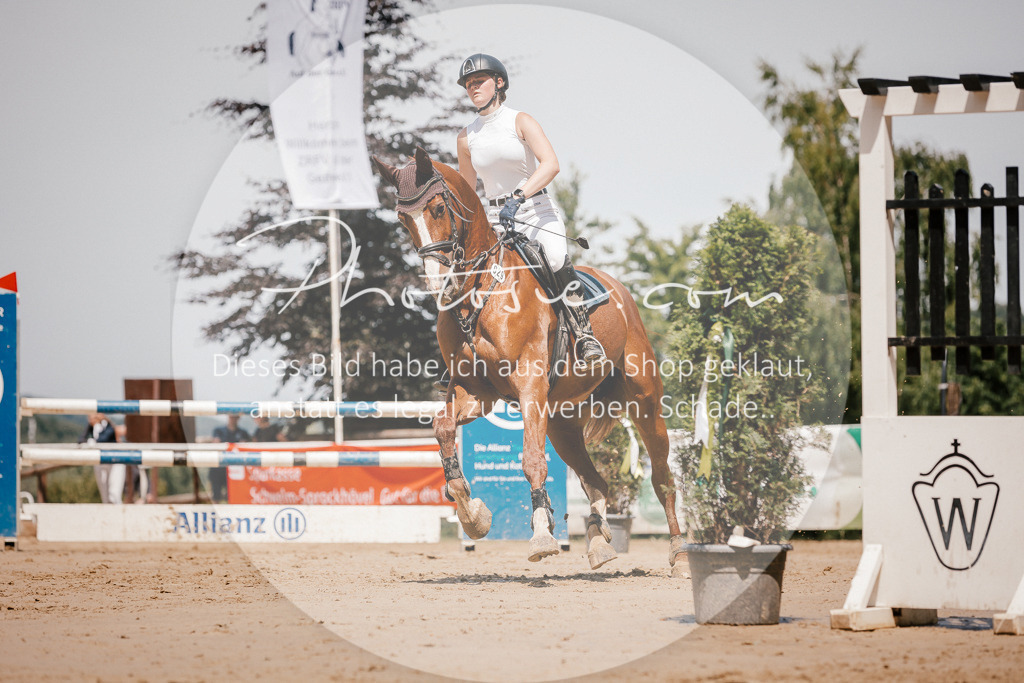 3I6A8059 | Stimmungsvolle Portraits und Reitsportfotografie im Ruhrgebiet und im Münsterland.

Pferdefotografie, Hundefotografie, Tierfotografie, Reportagen, Portraits von Tier und Mensch, Turnierfotografie in Bochum, Recklinghausen, Marl, Haltern am See, Dülmen.. - Realisiert mit Pictrs.com