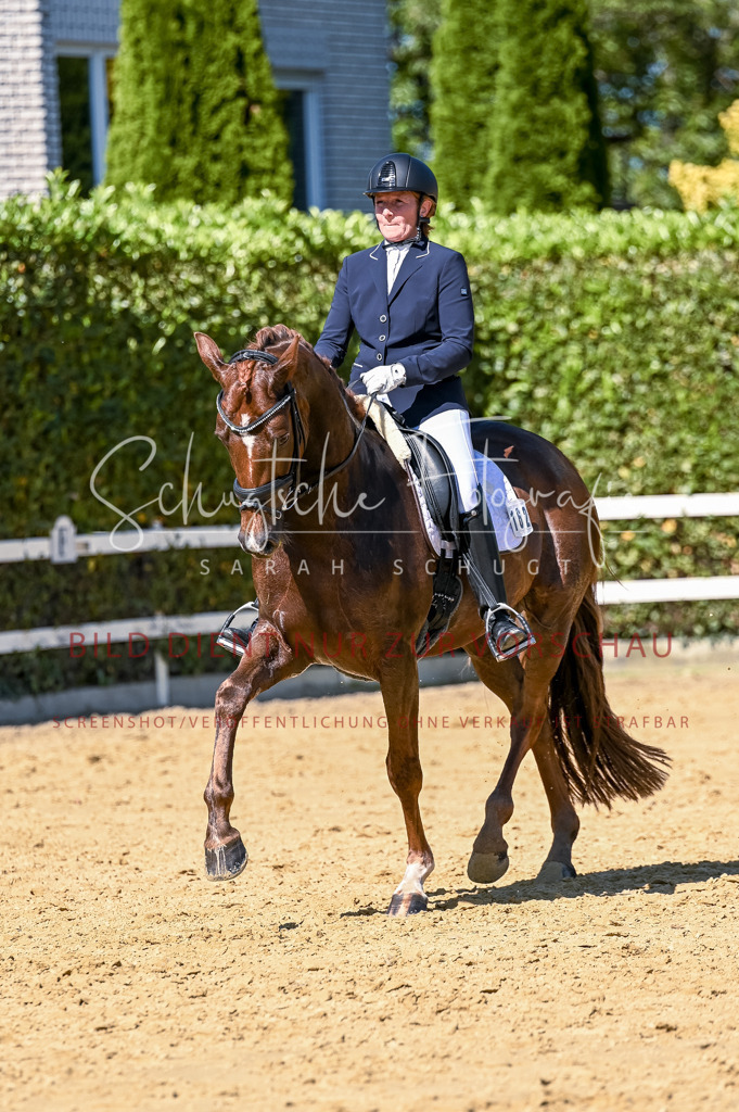Schugtsche-Aluta25-50.Dressurpferdeprf.L-106 | Schugtsche Fotografie - Realisiert mit Pictrs.com
