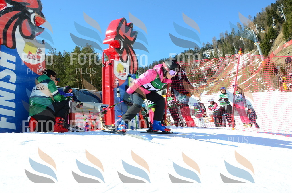 C6058 | holidayphoto