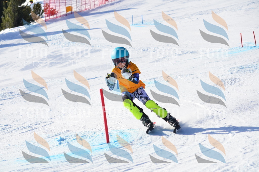 C6075 | holidayphoto