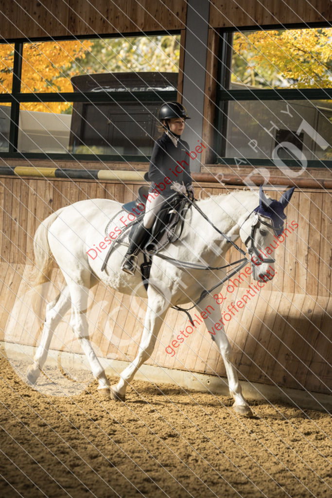 CON_6207 | Sport-, Event- und Tierfotos in Profiqualität. Einfach auswählen, bestellen und herunterladen. Dein Moment – perfekt festgehalten.
