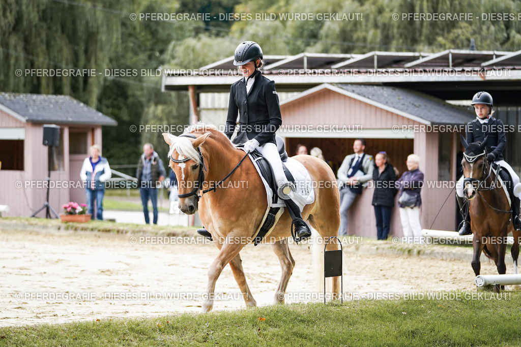 DSC05038 | Pferdegrafie