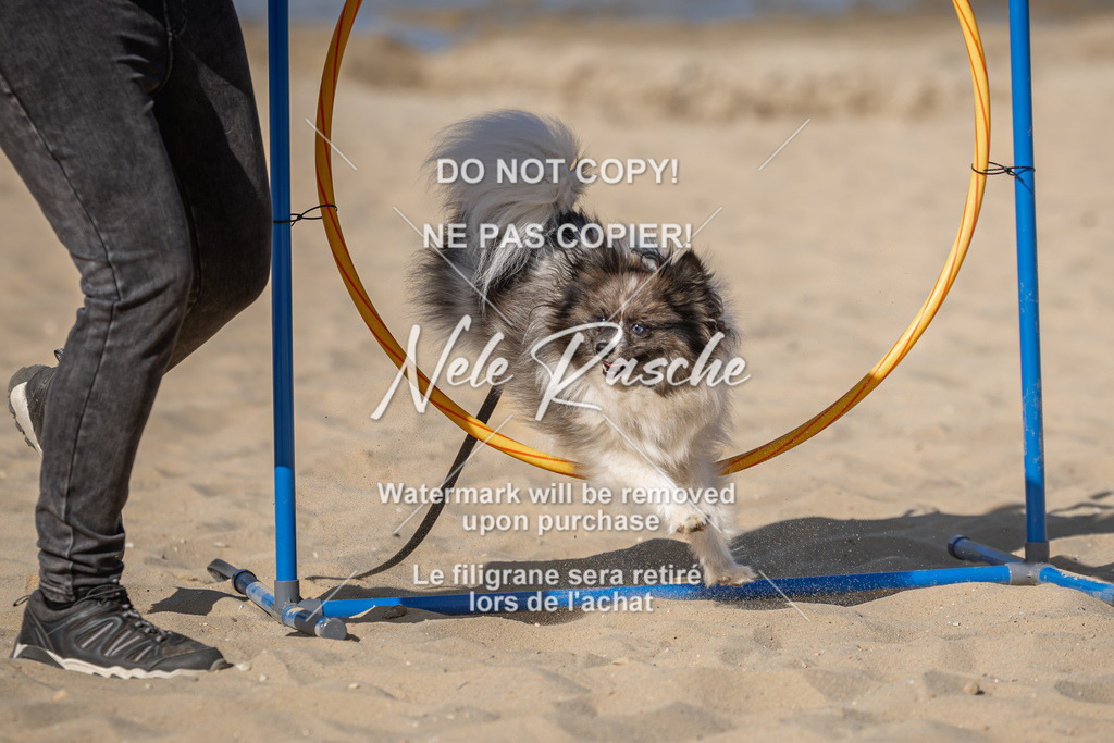 nelerasche_saBeachility_13 | nelerasche