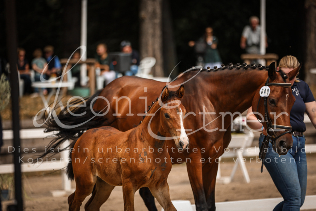 07.DoWBS00099 | Leoni Ertmer Photography - Realisiert mit Pictrs.com