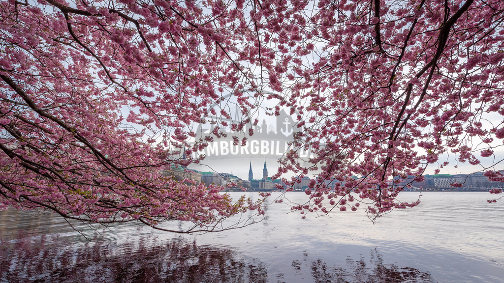 Hamburg-by-stativkunst.de-015 | Exklusive Hamburg collagen, tolle Segelbilder und viele weitere tolle Motive auf Leinwand, Poster, Alu-Dibond, u.v.m. findet Ihr bei uns auf hamburgbild.de. Findet Euer Wandbild für Euer Zuhause, Büro oder die  Praxis…. - Realisiert mit Pictrs.com