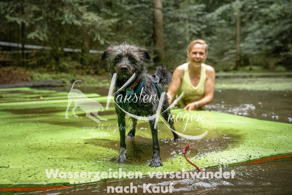 1446_ZZ93812-Bearbeitet | kk-dogfotos