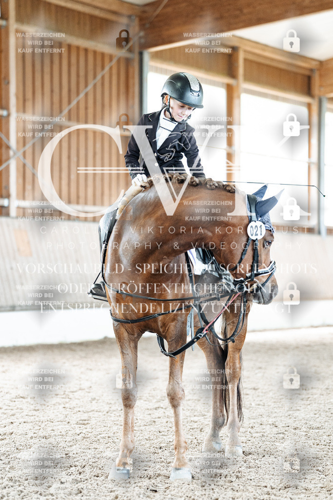 CK901737 | Turnierfotografie Pferdefotografie Trier Rheinland-Pfalz Pferdesport Reitsport Tierfotografie Sportfotografie Pferdevideo Pferdevideografie Equestrianvideography equestrianphotography  - Realisiert mit Pictrs.com