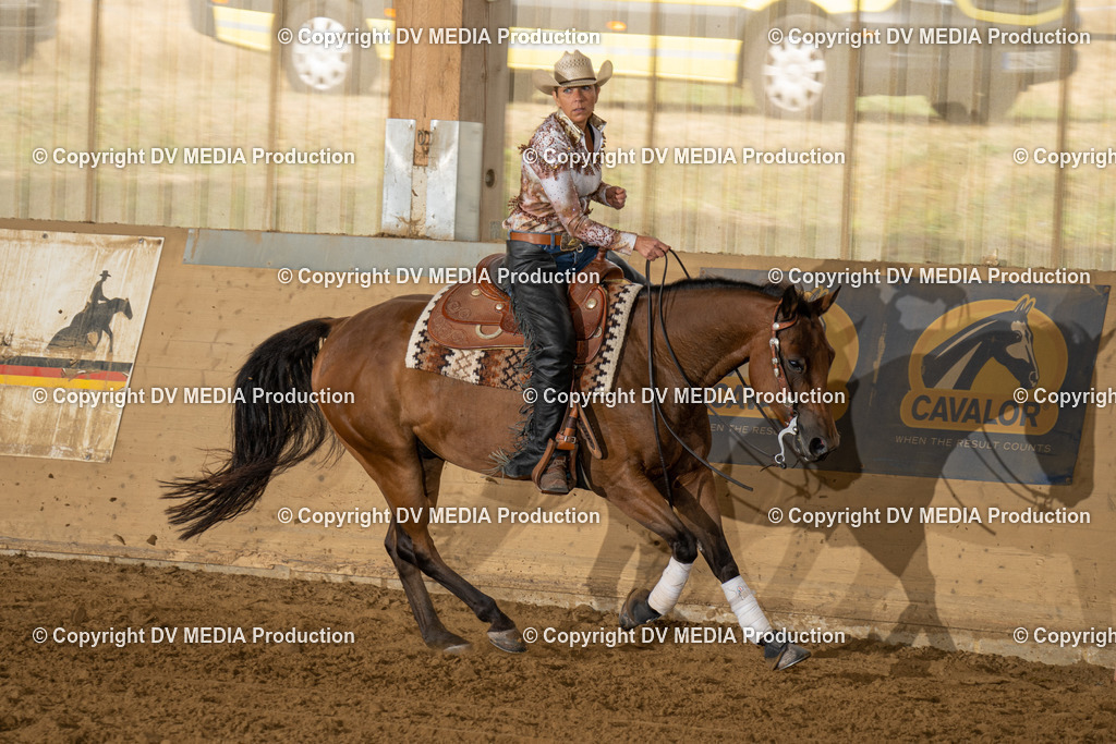 LAU01523 | dv-media-shop - Realisiert mit Pictrs.com