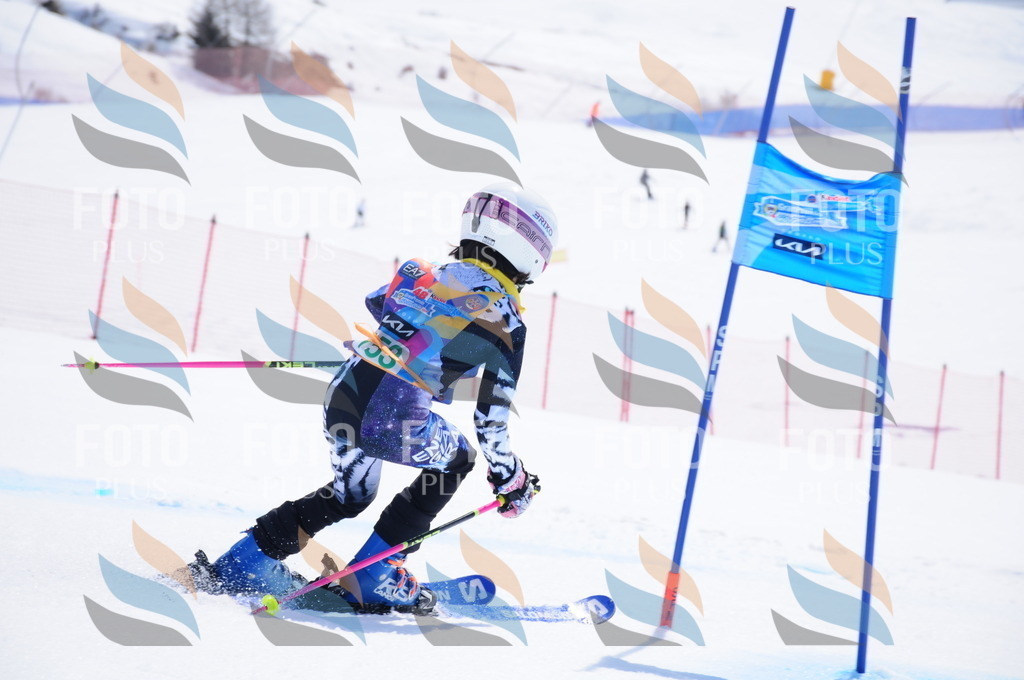 DSC_1333 | holidayphoto