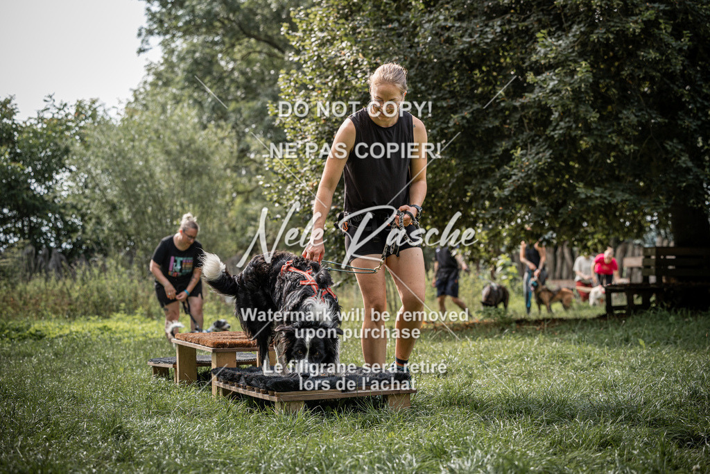 nelerasche_SoLauf_213 | nelerasche
