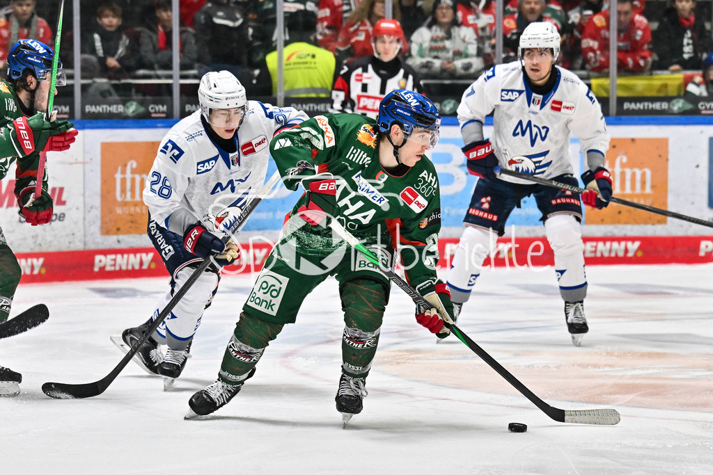 Augsburger Panther - Adler Mannheim | AUGSBURG, GERMANY - 28. DECEMBER: im Duell Alexander EHL (Adler Mannheim 28) und Kyle MAYHEW (Augsburger Panther 27) während dem Match zwischen den Augsburger Panthern und den Adler Mannehim am 33. Spieltag der Penny DEL im Curt Frenzel Stadion