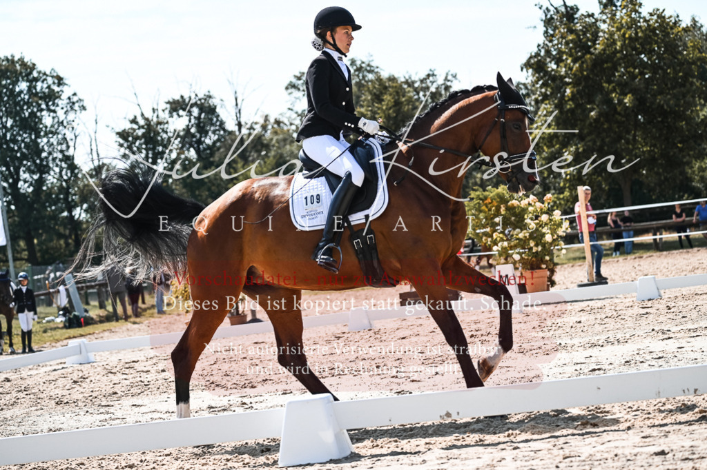 DSC_5065 | Pferde- und Turnierfotografie in Westsachsen. Pferdeportraits, Auftragszeichnungen und intuitive Kunst.