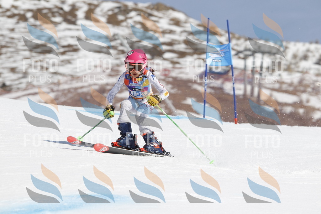 _U3G0893 | holidayphoto