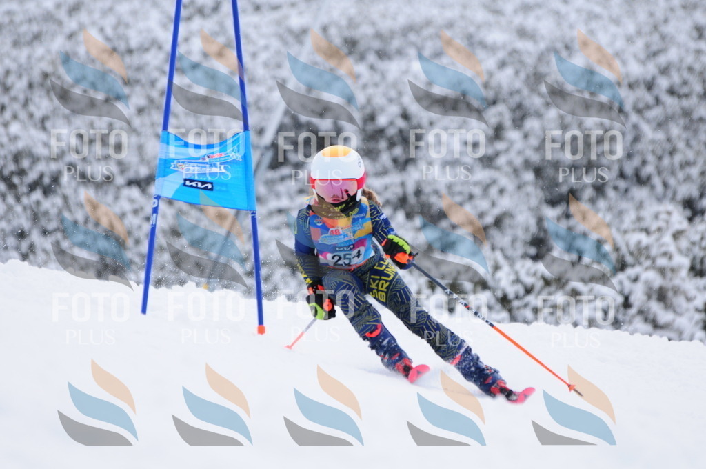 C2673 | holidayphoto