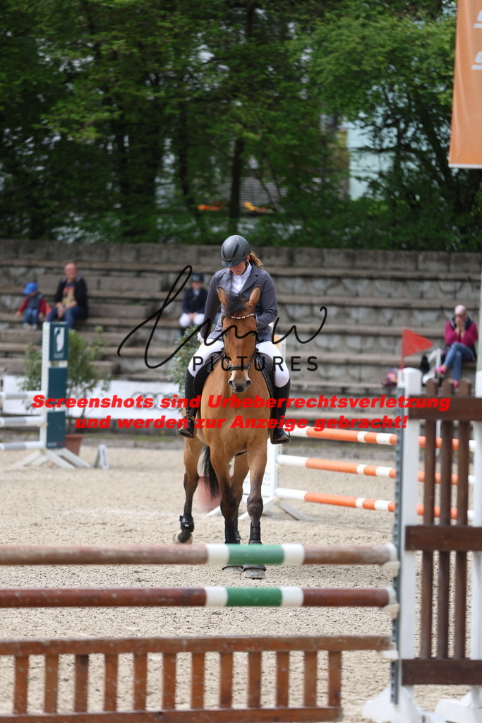 A40A1521 | lmwpictures - Realisiert mit Pictrs.com