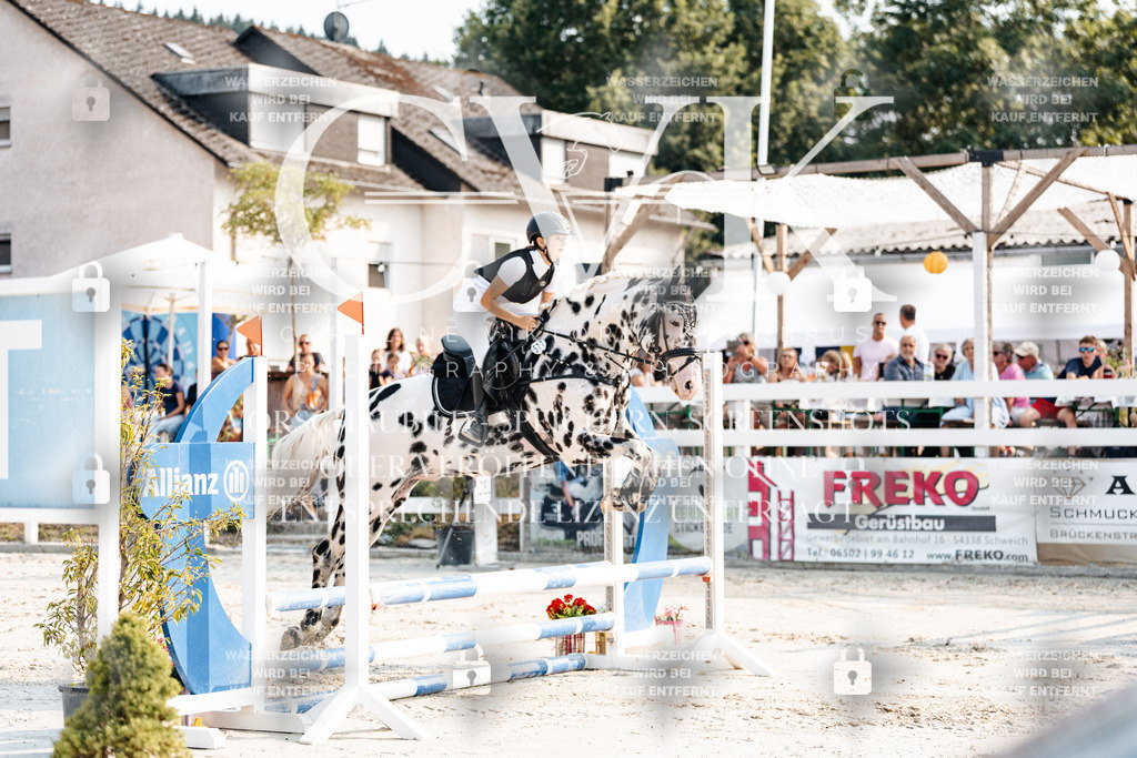 CK902806 | Turnierfotografie Pferdefotografie Trier Rheinland-Pfalz Pferdesport Reitsport Tierfotografie Sportfotografie Pferdevideo Pferdevideografie Equestrianvideography equestrianphotography  - Realisiert mit Pictrs.com