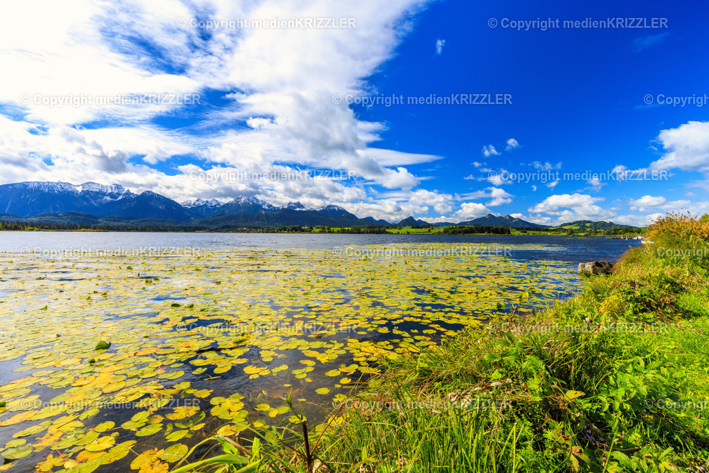 Hopfensee | medienkrizzler - Realisiert mit Pictrs.com