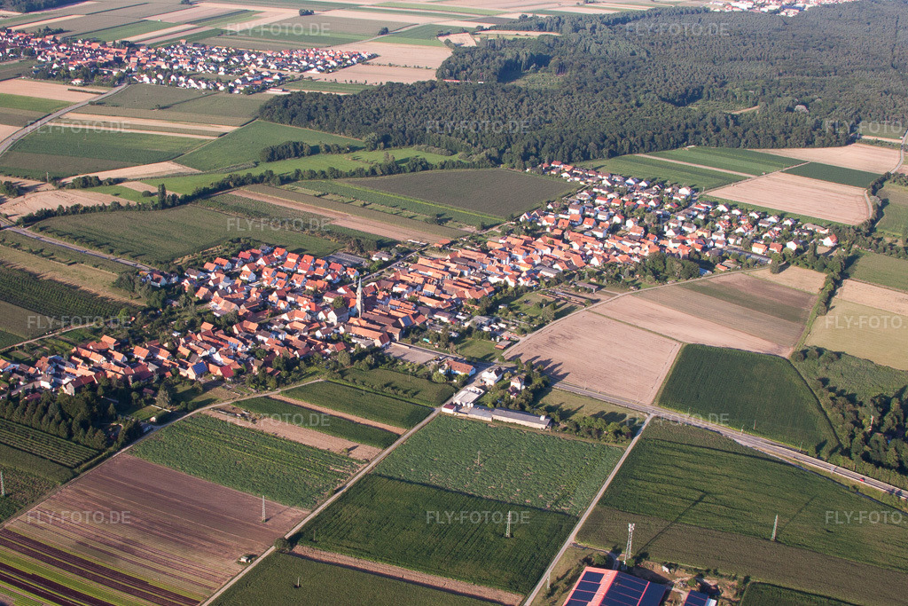 Luftbild: Ortsansicht von Südwesten in Erlenbach bei Kandel im Bundesland Rheinland-Pfalz in Deutschland. Foto: IMG_50996.jpg vom 22.07.2012 durch Werner Riehm/FLY-FOTO.de