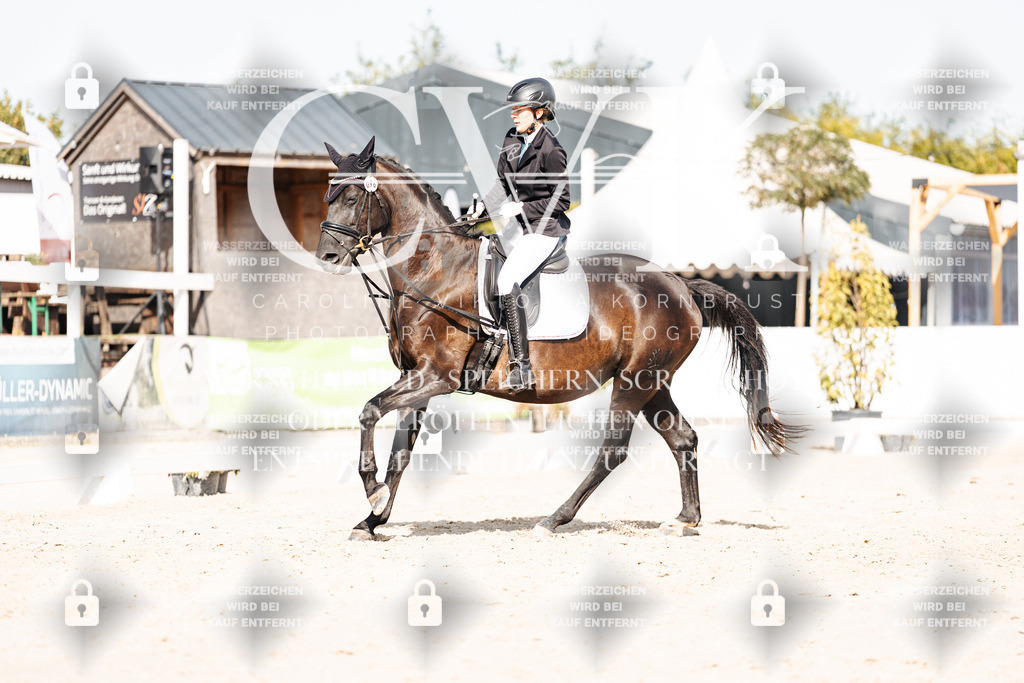 CK905645 | Turnierfotografie Pferdefotografie Trier Rheinland-Pfalz Pferdesport Reitsport Tierfotografie Sportfotografie Pferdevideo Pferdevideografie Equestrianvideography equestrianphotography  - Realisiert mit Pictrs.com