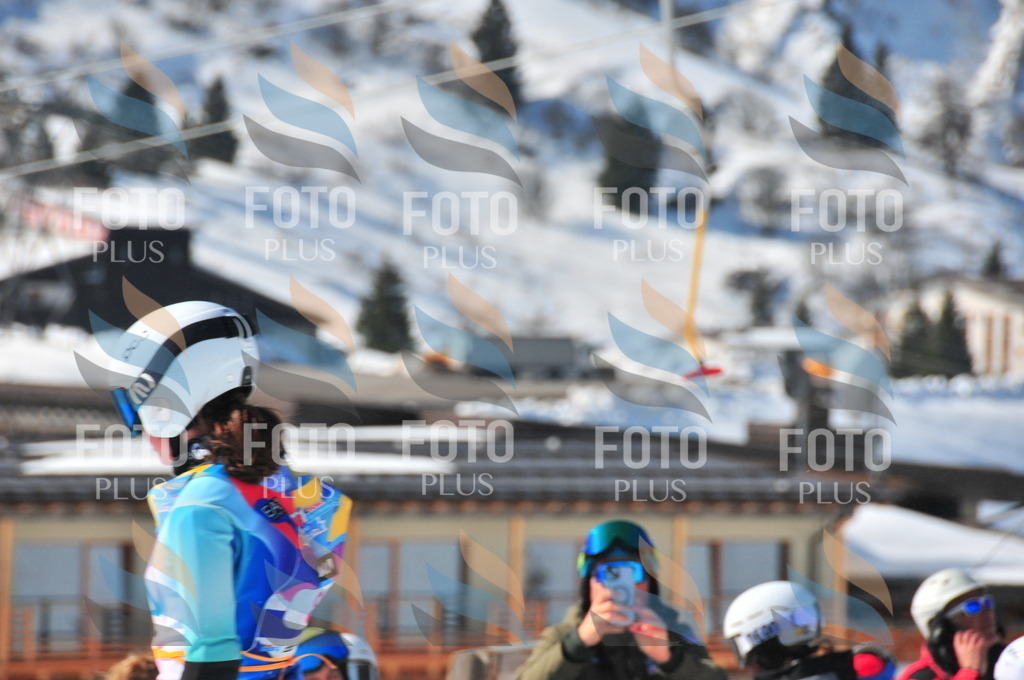 DSC_4445 | holidayphoto