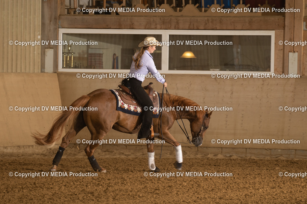 LAU00443 | dv-media-shop - Realisiert mit Pictrs.com