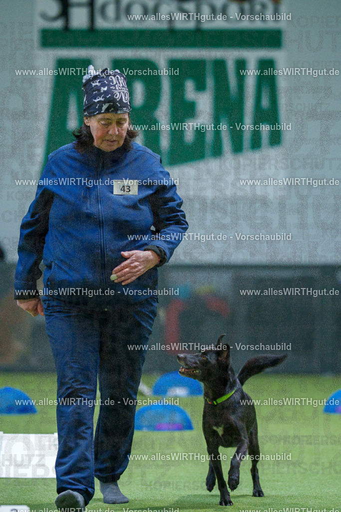 7R501209 | Professionelle Tierfotografie in Mönchengladbach von Daniel Wirth (allesWIRTHgut). Liebevolle & natürliche Bilder von Hunden & Katzen für unvergessliche Erinnerungen.