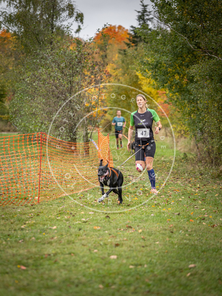 Pfotenfotografie_DV3A2455 | Hundefotografie, Tierfotograf, Pfotenfotografie, Fotoshooting Hund, Hunde Portrait, Hundesport, Hundeportraits, Heideshooting, Hunde, Sportfotograf, Hundefotograf, Turnierhundsport, THS,  - Realisiert mit Pictrs.com