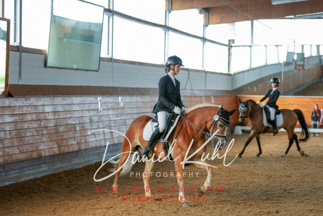 _62_7893 | Turniersportfotografie; Pferdefotografie; Dressurfotografie