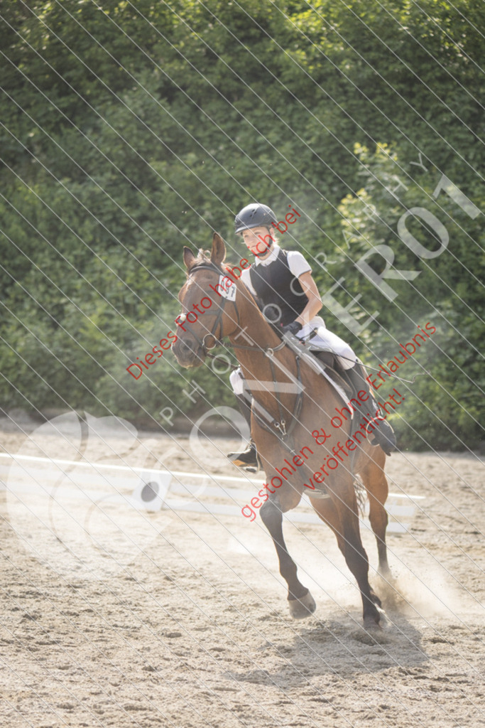 IMG_5837 | Sport-, Event- und Tierfotos in Profiqualität. Einfach auswählen, bestellen und herunterladen. Dein Moment – perfekt festgehalten.