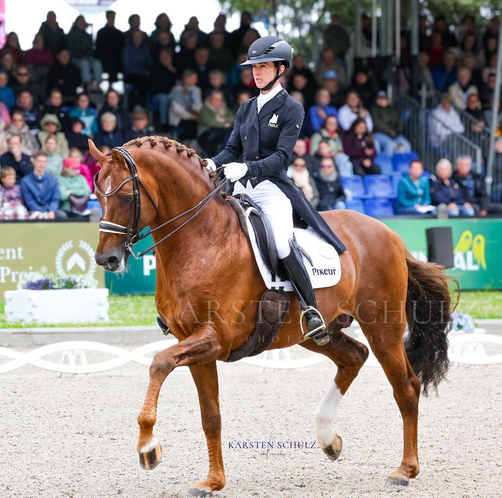 1B3A7687 | Reitsport Reiten