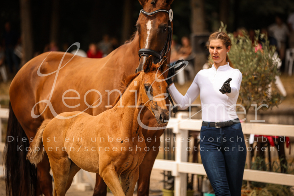 SaPA00041 | Leoni Ertmer Photography - Realisiert mit Pictrs.com