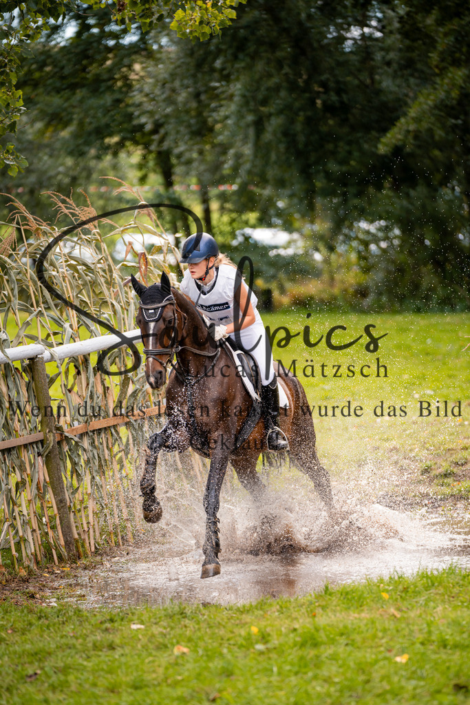 A7V03574 | Pferdefotograf