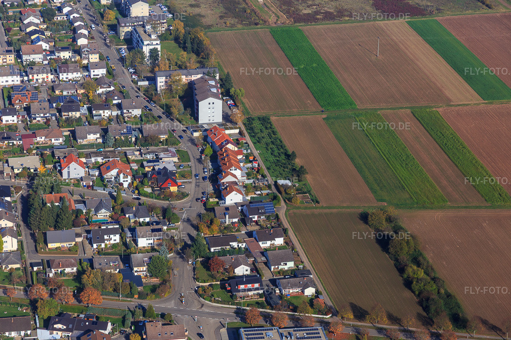 Luftbild: Birkenallee in Offenbach an der Queich im Bundesland Rheinland-Pfalz in Deutschland. Foto: IMG_104330.jpg vom 31.10.2017 durch Werner Riehm/FLY-FOTO.de