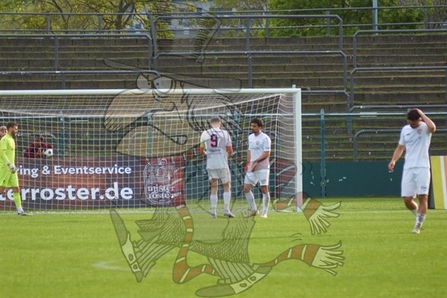 BFC Dynamo vs. VSG Altglienicke 146 | mythos-online-redaktion