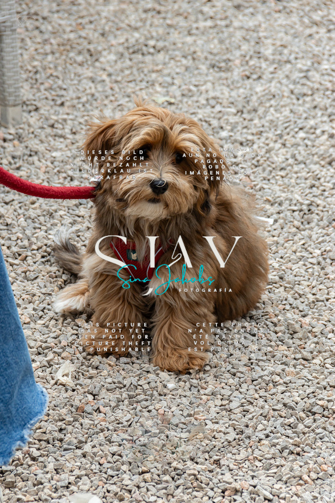 IMG_5488 | s-jay-photography - Realisiert mit Pictrs.com