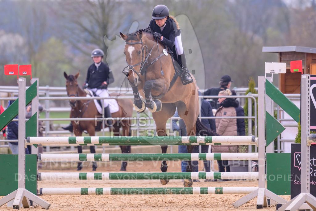 10042026-Mammendorf-Prfgx-0930 | Fokus Hufschlag Fotografie - Realisiert mit Pictrs.com
