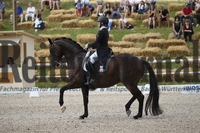Birkhof_2022_GrandPrixSpecial_Nicole Isser_DiCaprio 4 (24) | Alle Fotos der Reiterjournal Fotografin Doris Matthaes im Reiterjournal Online-Fotoshop. - Realisiert mit Pictrs.com