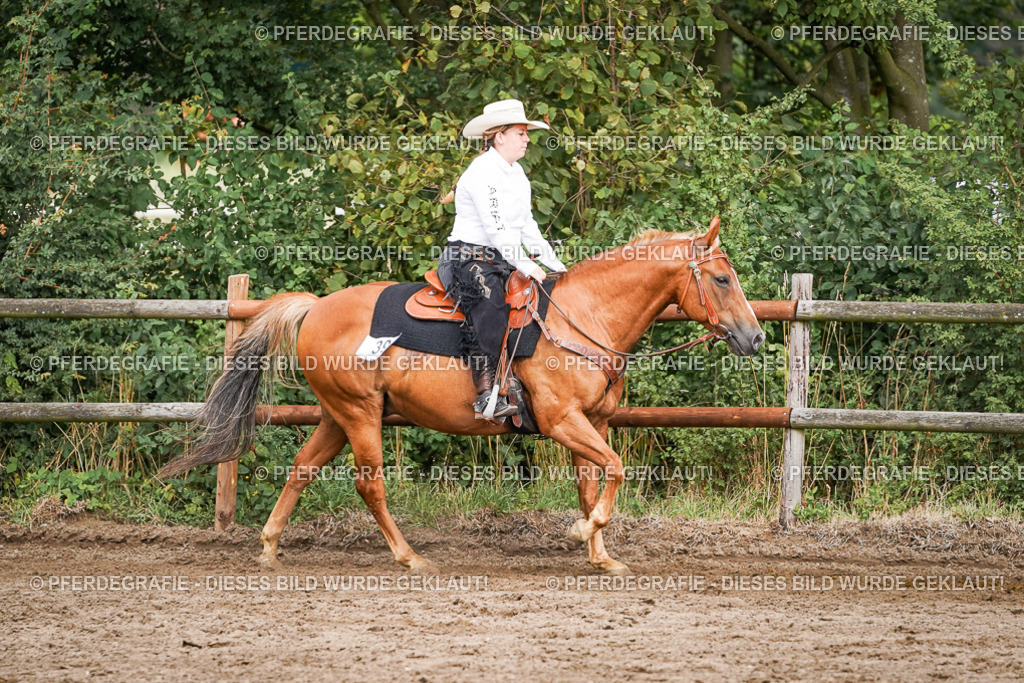 DSC08657 | Pferdegrafie