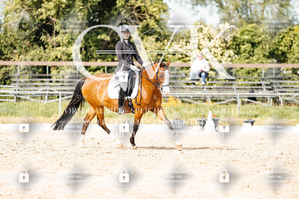CK900506 | Turnierfotografie Pferdefotografie Trier Rheinland-Pfalz Pferdesport Reitsport Tierfotografie Sportfotografie Pferdevideo Pferdevideografie Equestrianvideography equestrianphotography  - Realisiert mit Pictrs.com