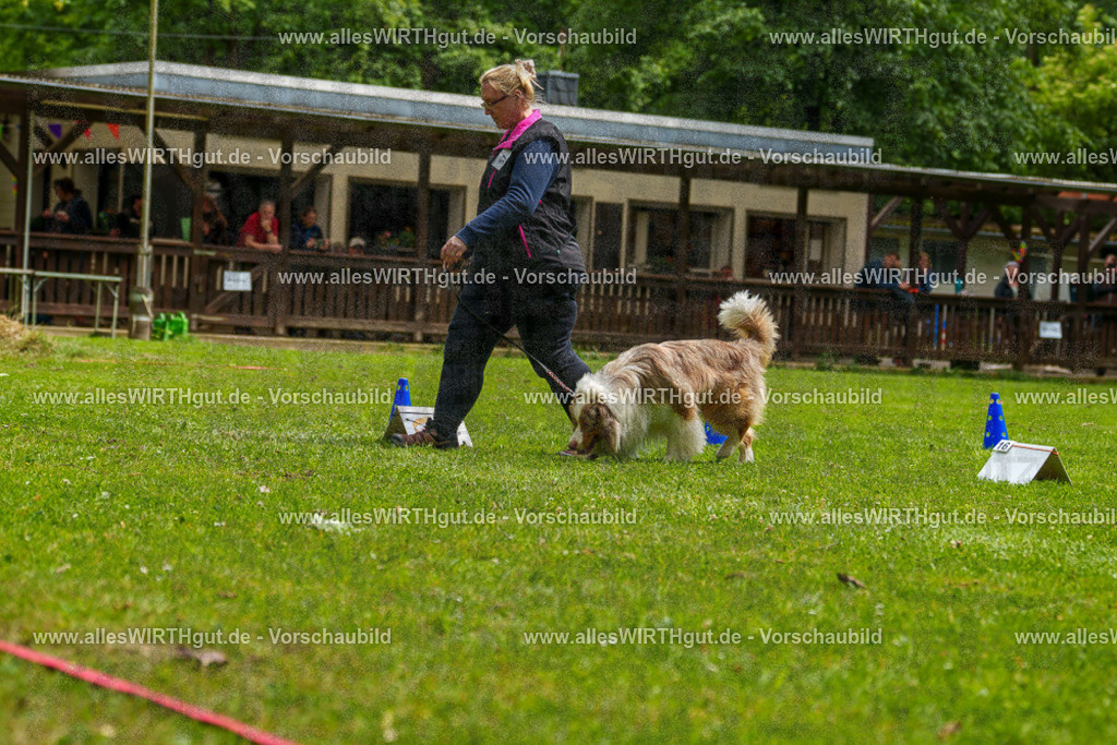 @allesWIRTHgut_Tierfotografie - www.allesWIRTHgut.de - 7R501258 | Professionelle Tierfotografie in Mönchengladbach von Daniel Wirth (allesWIRTHgut). Liebevolle & natürliche Bilder von Hunden & Katzen für unvergessliche Erinnerungen.