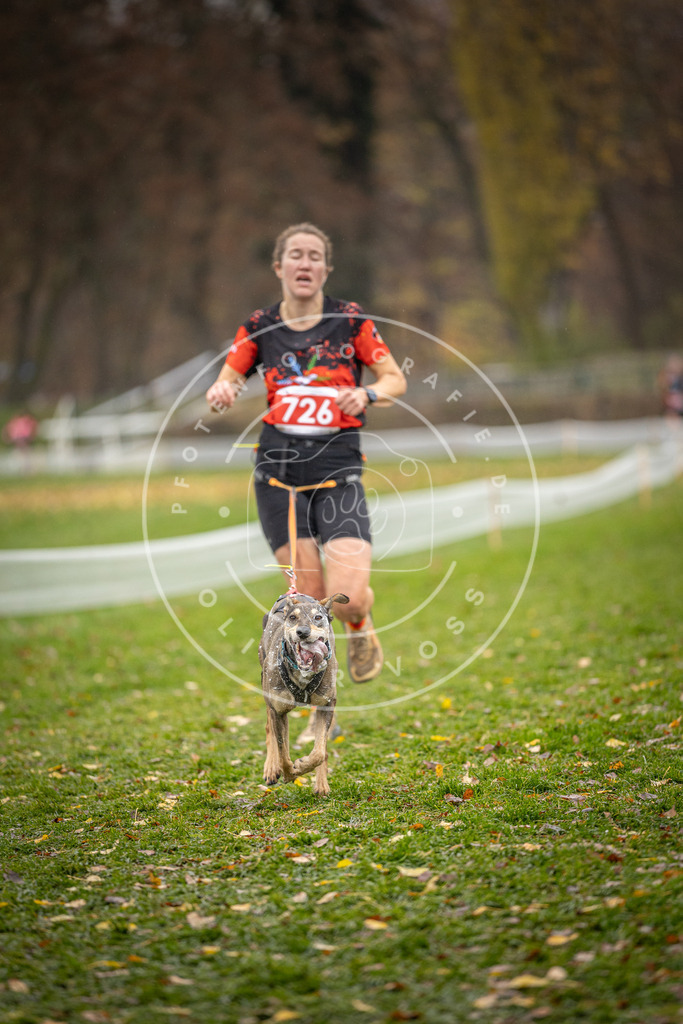 CaniXpix_DV3A9279 | Hundefotografie, Tierfotograf, Pfotenfotografie, Fotoshooting Hund, Hunde Portrait, Hundesport, Hundeportraits, Heideshooting, Hunde, Sportfotograf, Hundefotograf, Turnierhundsport, THS,  - Realisiert mit Pictrs.com