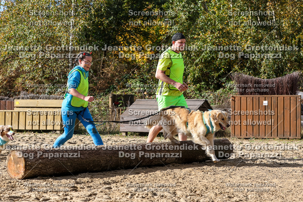 Dog Paparazzi - Strongdog 10-25-5603 | Dog Paparazzi Jeanette Grottendiek Fotografie & Videografie - Realisiert mit Pictrs.com