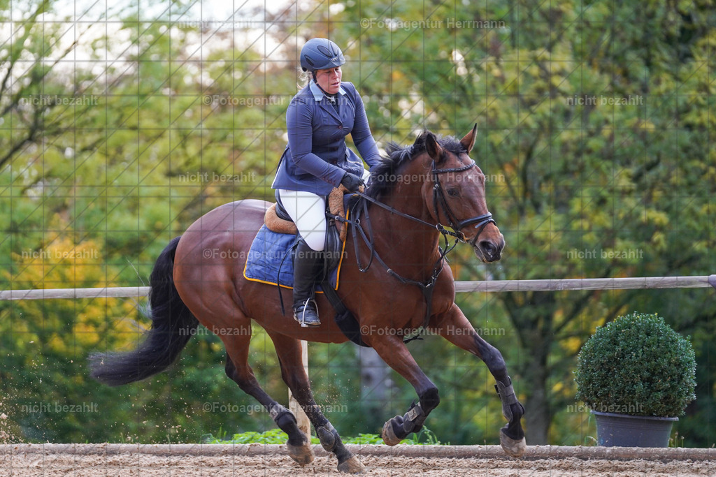 20221009-FAH08289 | Diessen am Ammersee, 2022, Dressur- und Springturnier, Reitsportbilder, Turnierfotografen Bayern, Pferdefotografen, Fotoagentur Herrmann, Turnierbilder