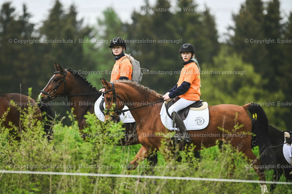 20230513_Impression_0021 | equistock