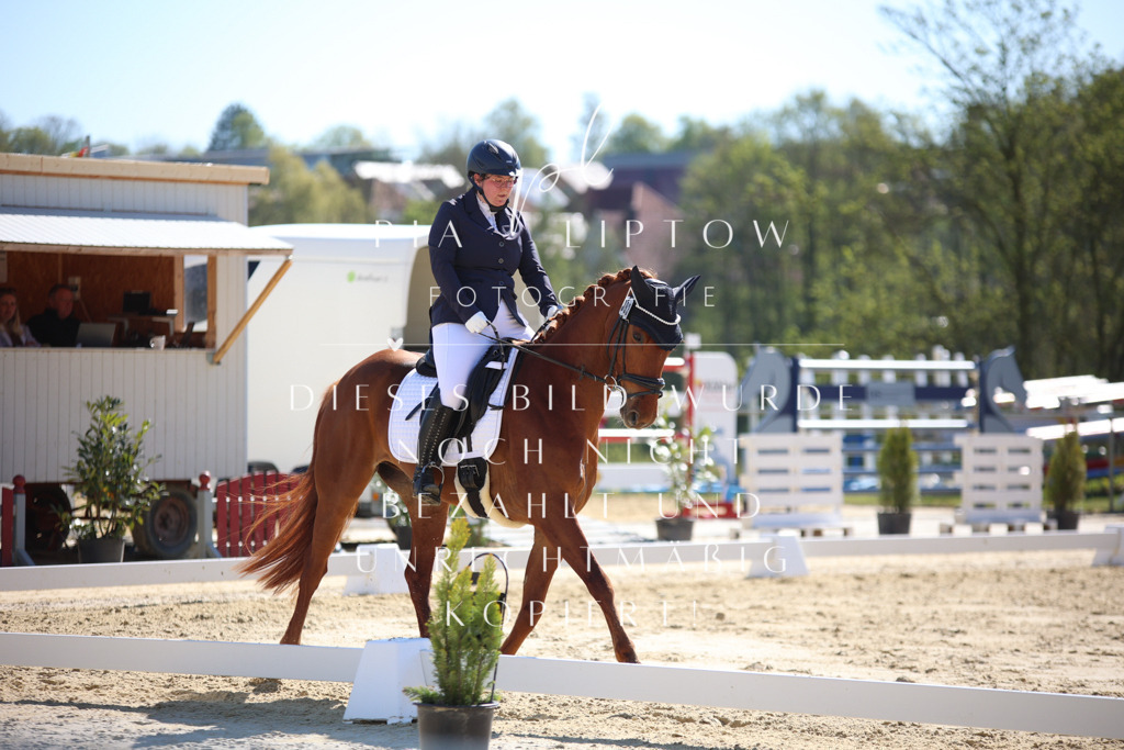 IMGT9809 | pl-fotografie