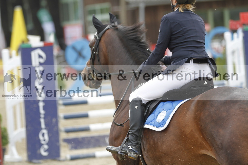 _MG_1861 | equestrian-live-com